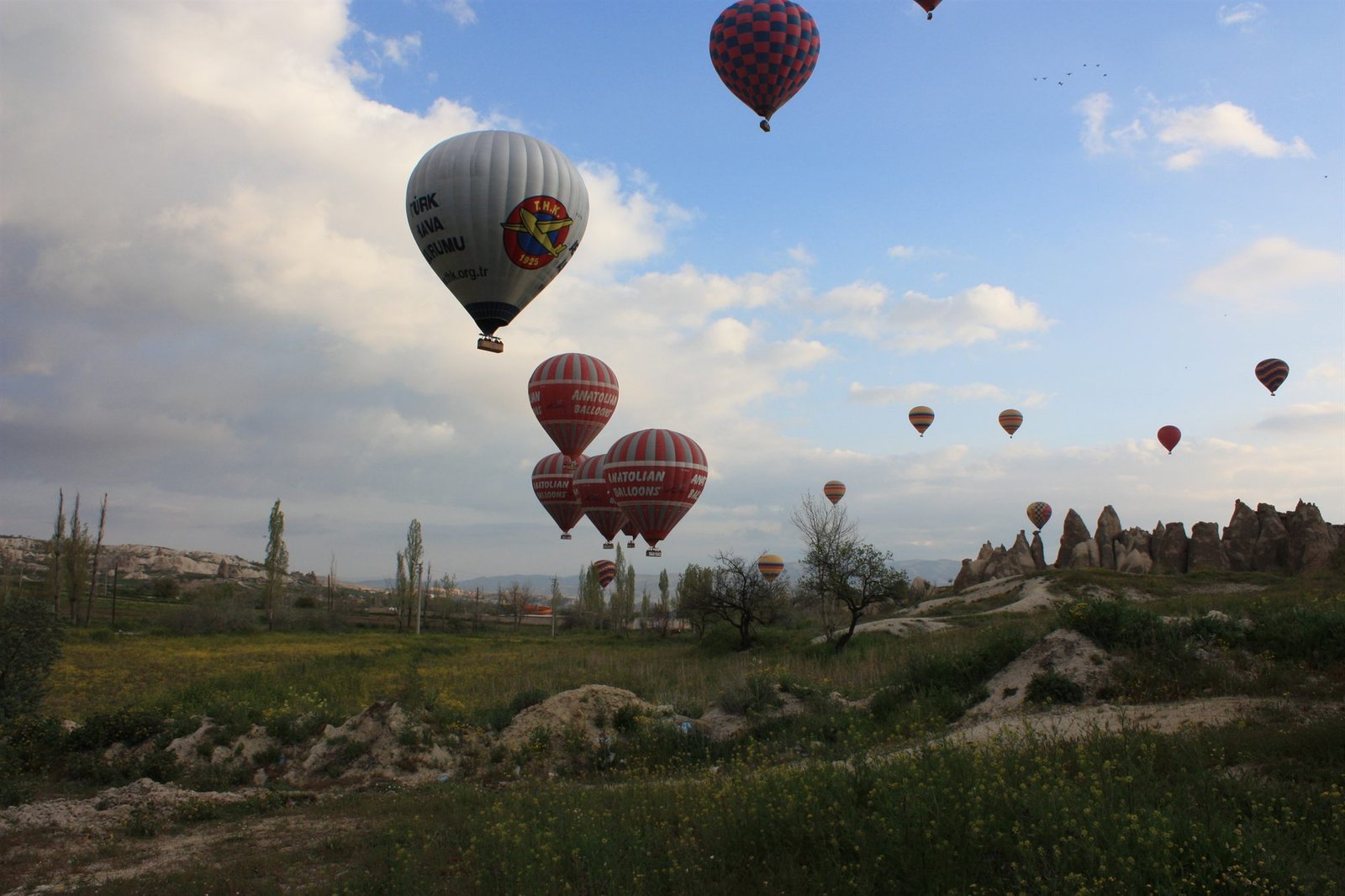 Balloons flying over the horizon